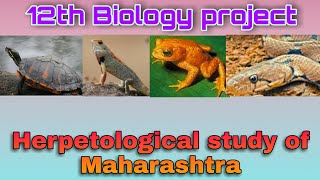 12th Biology project on Herpetological diversity of Maharashtra [upl. by Dnomsed]