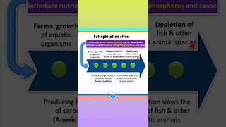 Eutrophication Effect and Its Causes  Environmental Issues Class 12 shorts neet [upl. by Yellac161]