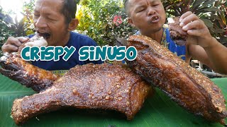 CRISPY SINUSO [upl. by Georgeanna]