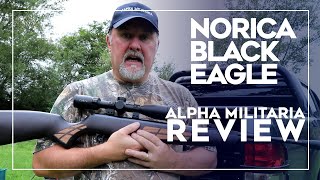 Norica Black Eagle Spring Air Rifle Review amp Test  quotA rival to HW and BSA springersquot [upl. by Emilee268]