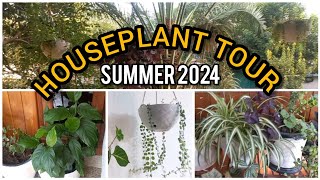 Houseplant Tour August 2024  Easy To Care For Houseplants houseplants gardening plants [upl. by Guillermo326]