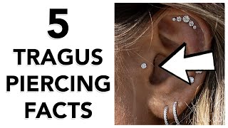 5 Facts About Tragus Piercings [upl. by Zulema]