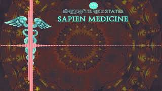 Senescent Cell Removal by Sapien Medicine [upl. by Candyce219]