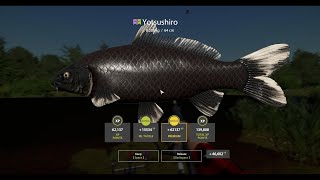 RUSSIAN FISHING 4  RF4  COPPER LAKE KOI HUNT [upl. by Kreit]