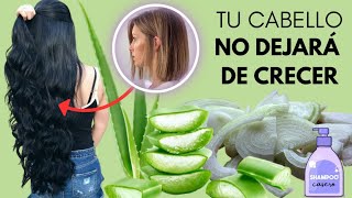 Cómo hacer shampoo de cebolla y sábila  Crecimiento de cabello rápido [upl. by Strohbehn]