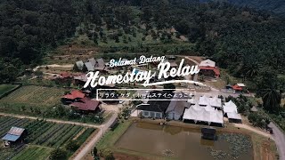 HOMESTAY RELAU [upl. by Sybila]