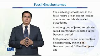 Fossil Gnathostomes  Biodiversity amp EvolutionII  BT201Topic056 [upl. by Selima554]