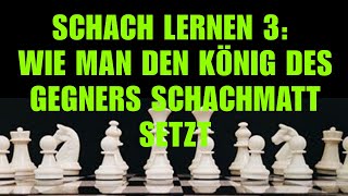 Schach Lernen 3 Wie Man Den König Des Gegners Schachmatt Setzt Kostenloser Schachkurs Für Anfänger [upl. by Hogg862]