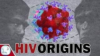 The REAL Origins amp Evolution of HIV [upl. by Arlie]