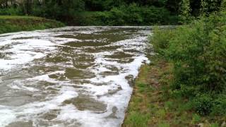 River in Epinay Sous Senart France at Forest of Sénart [upl. by Atiuqat]