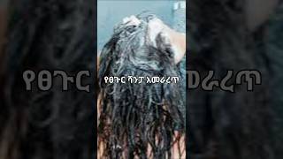 ለፀጉር ተመራጭ የሆኑ ሻምፓወች Best Shampooss For Hair ፀጉር [upl. by Dustie580]