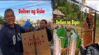 Nakabenta ulit ako ng sisiw at bigas deliver to Bayambang Pangasinan [upl. by Appolonia184]