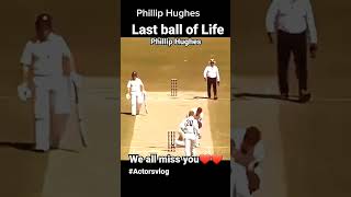 Phillip Hughes Last Ball his Life ❤️ 😢shortsPhillipHughesSubscribeNZEDITZ [upl. by Rosol]