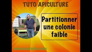 TUTO apiculture  partitionner une colonie [upl. by Elocn750]