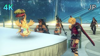 4K Xenoblade Chronicles DE Cutscene 065 – The Divine Seer – JAPANESE [upl. by Amsa504]