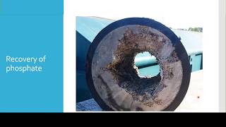 Spotlight video Phosphate recovery with struvite from wastewater [upl. by Deeyn]