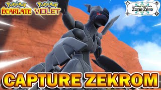 CAPTURER ZEKROM  Pokémon Violet amp Écarlate  DLC Disque Indigo [upl. by Normac323]