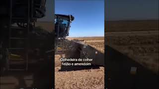 music beach agrotech agriculturanocomando agrocast [upl. by Esilehc]