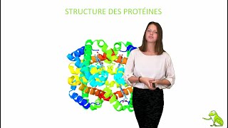 Structure des protéines [upl. by Crawford]