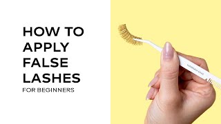 How To Apply False Lashes for Beginners  Strip Lashes Application 101  Hannah Cho Beauty [upl. by Parfitt]