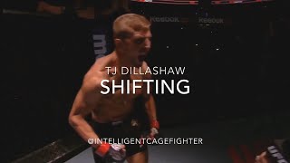 TJ Dillashaw Footwork Shifting [upl. by Eelanej]