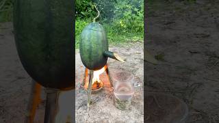 Survival Skills SIMPLE and USEFUL with steam bad water in watermelon bushcraft camping outdoors [upl. by Capwell]