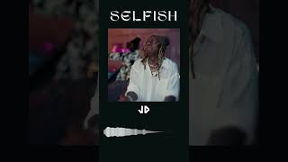 FREE Lil Wayne x Drake x 2 Chainz Type Beat  quotSelfishquot [upl. by Savvas]