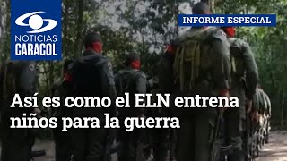 Así es como el ELN entrena niños para la guerra escuche el testimonio de un desmovilizado [upl. by Neddie]