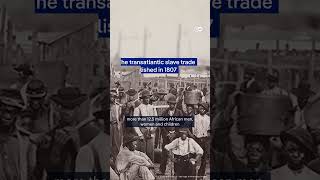 Shocking history of slavery trade dwhistoryandculture [upl. by Aicram]