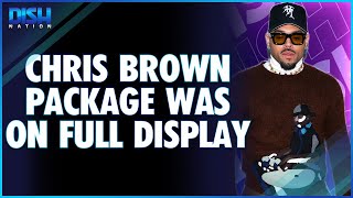 A Chris Brown Package Was on Full Display During Concert [upl. by Ivz]