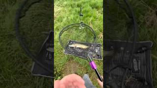 Pike fishing the river Wychwood Agitator setup fishing pikefishing lurefishing [upl. by Eelitan382]