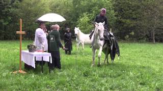 Watzhahn Pferdesegnung und Tag der offenen Stalltür im Reitstall Albus 06052012 [upl. by Burney166]