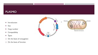 Plasmids  What is Plasmid  Types of Palsmid  UrduHindi  AZ Concepts Guide [upl. by Bettzel616]