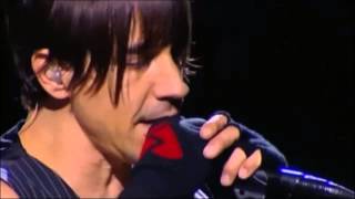 Red Hot Chili Peppers  Dont Forget Me live at Chorzów Poland 2007 [upl. by Aihsemak]