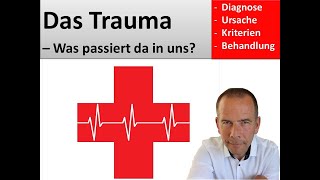 Das Trauma  Was passiert im Gehirn [upl. by Akel826]