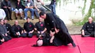 David C Falcaro Sensei demonstrating for the position of Soke [upl. by Teri]