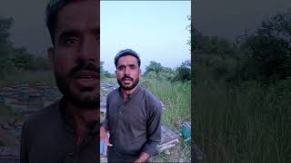 honey bee Farming in Pakistan  honey Farming Beekeeping  honey Farming Guide [upl. by Jeff]