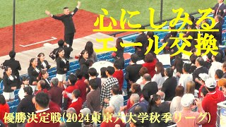 心にしみるエール交換 早稲田大学－明治大学 優勝決定戦2024東京六大学秋季リーグ 神宮球場 20241112 [upl. by Niobe552]