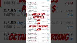 octafx copy trading octafx copytrading forex forextrading ea algotradingsoftware trading [upl. by Celene]