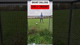 Bin Shot Challenge  Levels 13 [upl. by Nessa]