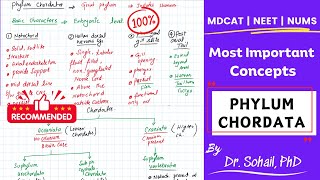 Kingdom Animalia  Phylum Chordata  MDCAT  NUMS  NEET [upl. by Sharma]