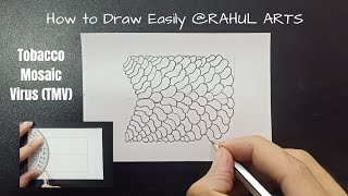 How to Draw Tobacco Mosaic Virus TMV [upl. by Bodkin449]