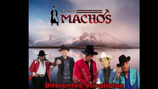 Diferentes Vocalistas de Banda Machos [upl. by Jessamyn752]