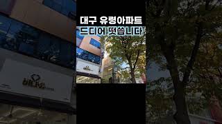 대구부동산 대구아파트 유명세를 떨친 유령아파트 드디어 분양공고 떳네요  상인푸르지오센터파크 [upl. by Palmore]