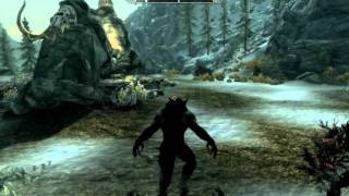 Skyrim graphics glitchbug READ DESCRIPTION [upl. by Relly]