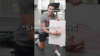 Strengthen Tendons with Isometrics [upl. by Elleoj]