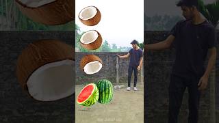 Rounding cut coconuts to Grapes Mango lichi amp Watermelon  Fruits names magic video [upl. by Ahilam]