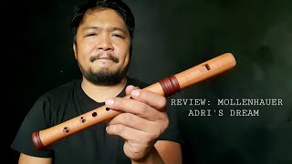 Mollenhauer Dream Recorder Review [upl. by Acinom117]