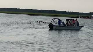 99th Annual Chincoteague Pony Swim  Swim Back  July 26 2024 [upl. by Elyak394]