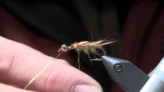 Fly Tying Lesson  Golden Stonefly Nymph Part 1 [upl. by Ynnel478]